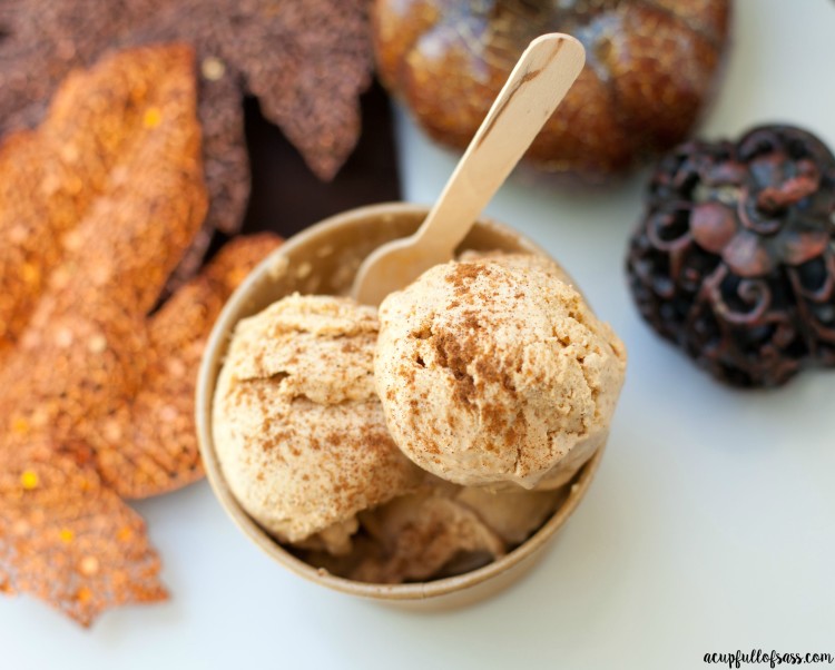 Pumpkin Ice Cream 