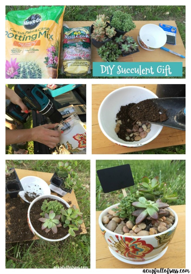 DIY succulent gift Collage