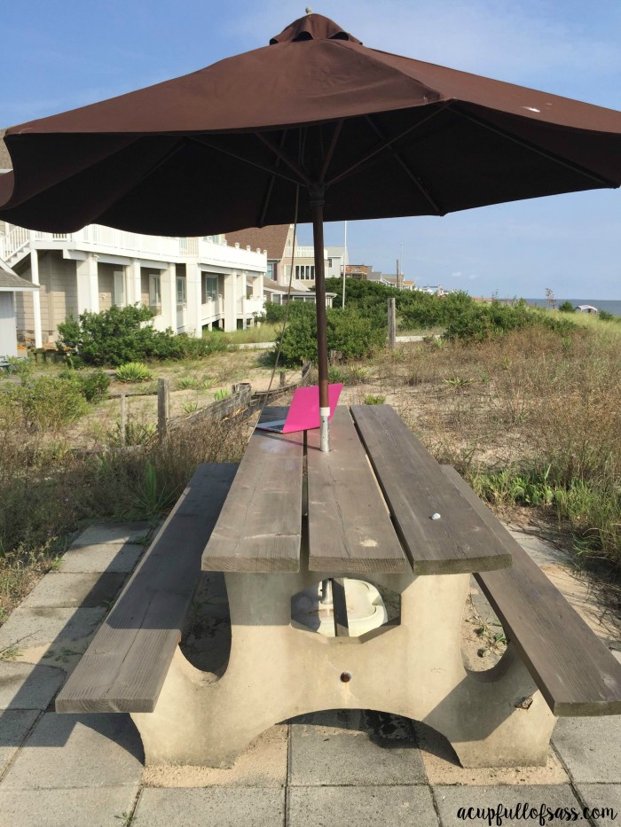 Beach Picnic table