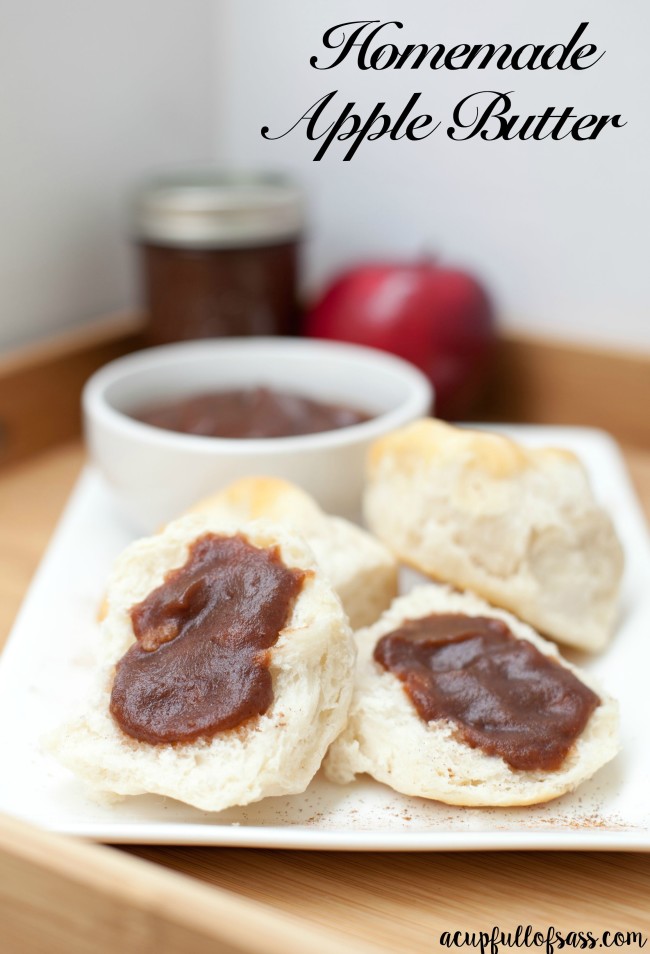 Easy Homemade Apple Butter in the Slow-Cooker.