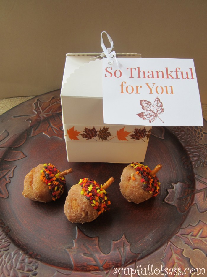 Acorn Donut Hole Treat - Princess Pinky Girl