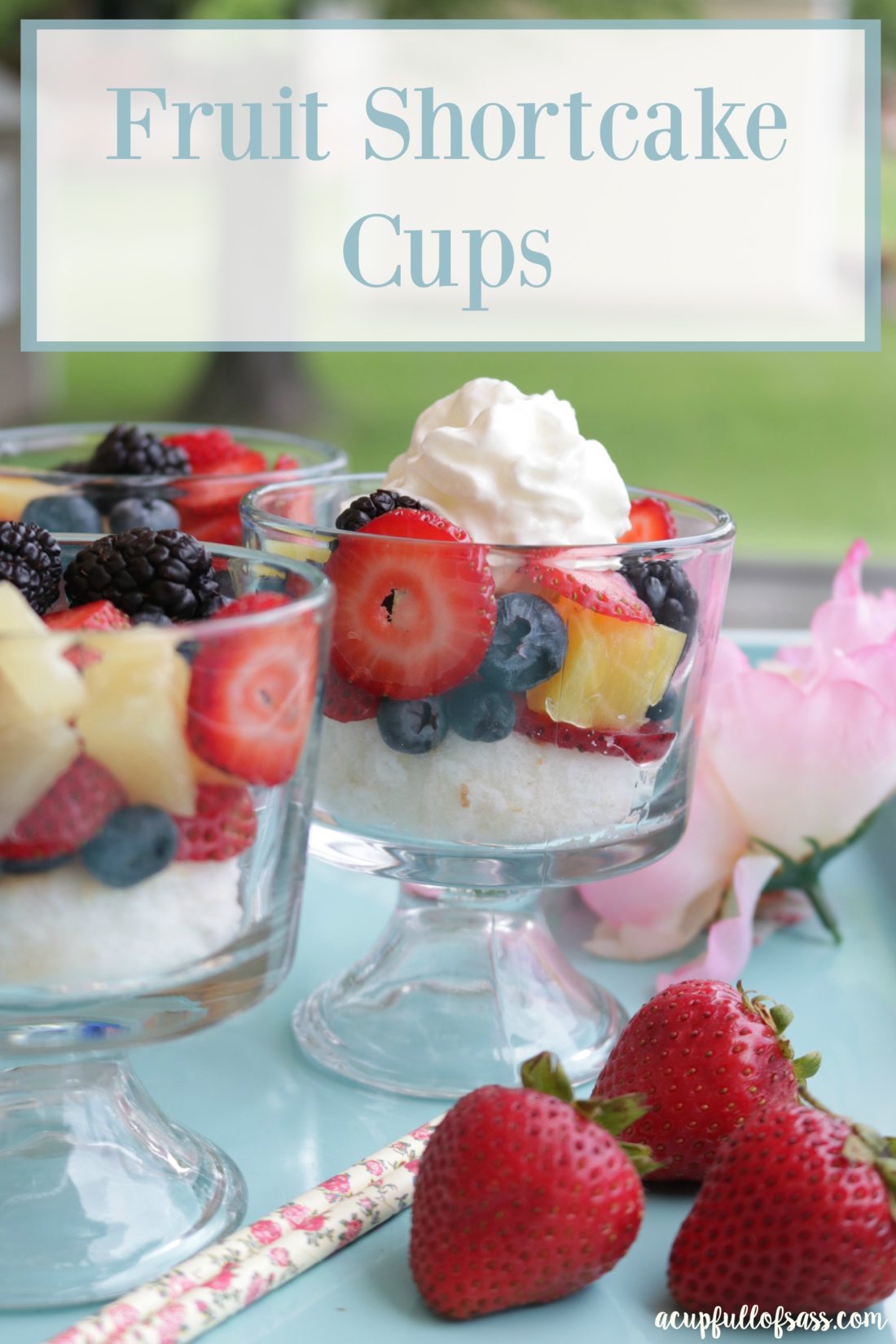 Fruit Shortcake Cups A Cup Full Of Sass