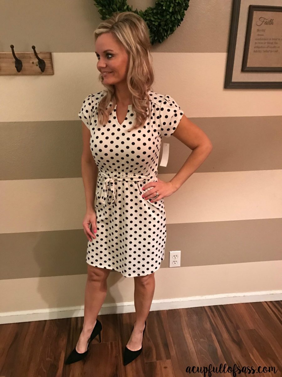 STITCH FIX Polka Dot Dress LOVEAPPELLA ABERDEEN DRESS