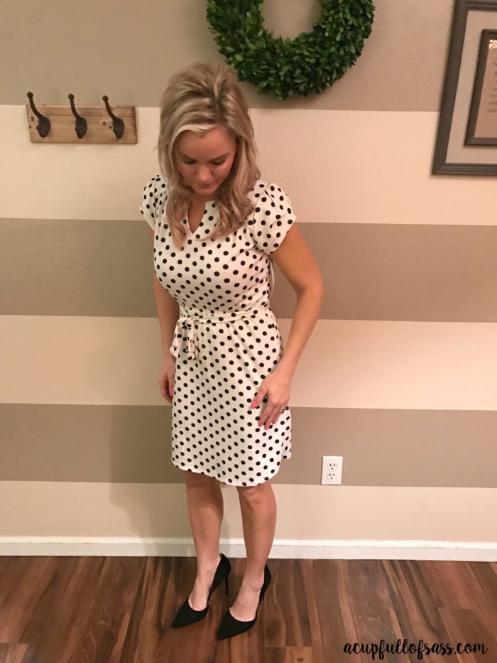 STITCH FIX Polka Dot Dress LOVEAPPELLA ABERDEEN KNIT DRESS