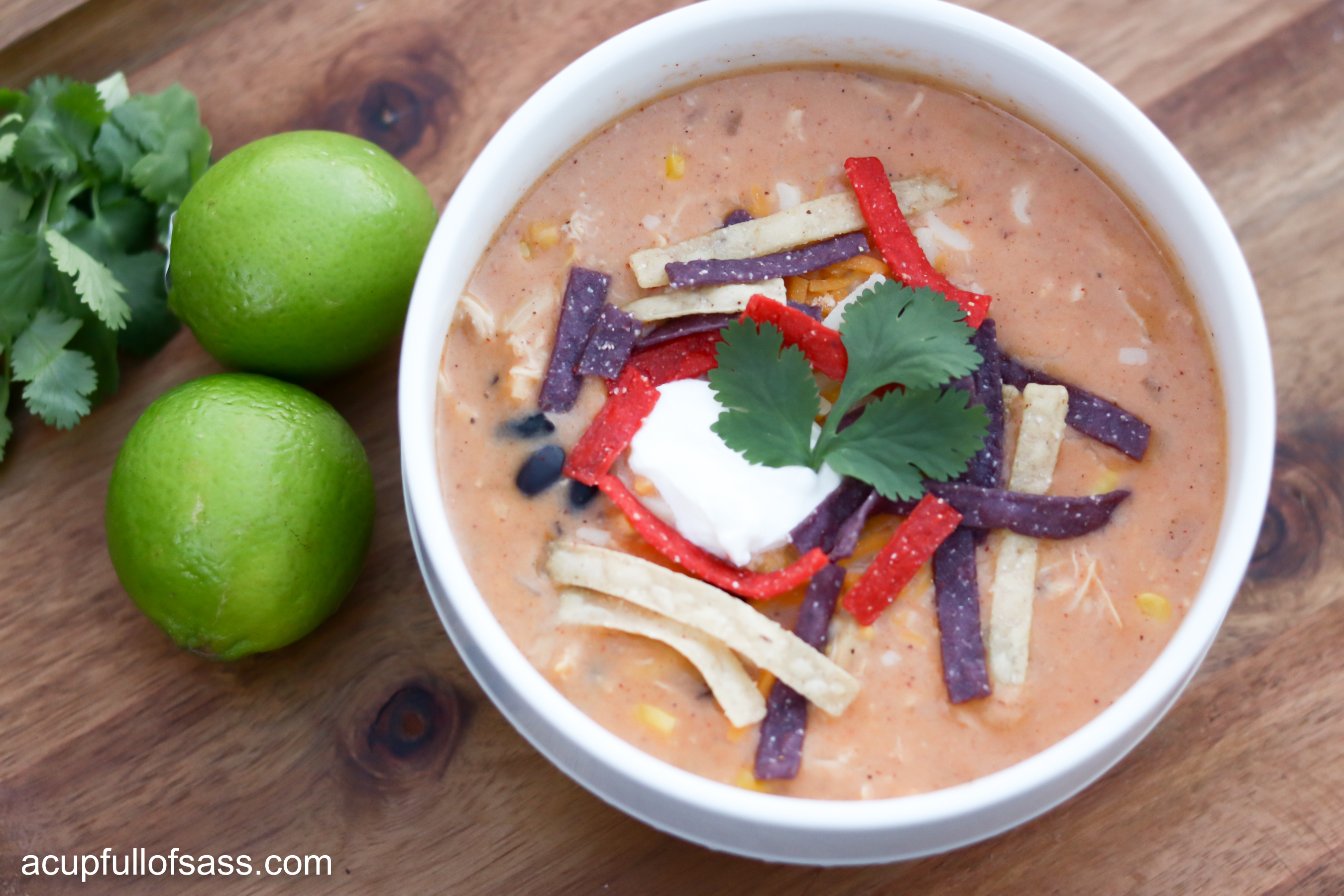 Easy Creamy Chicken Enchilada Soup