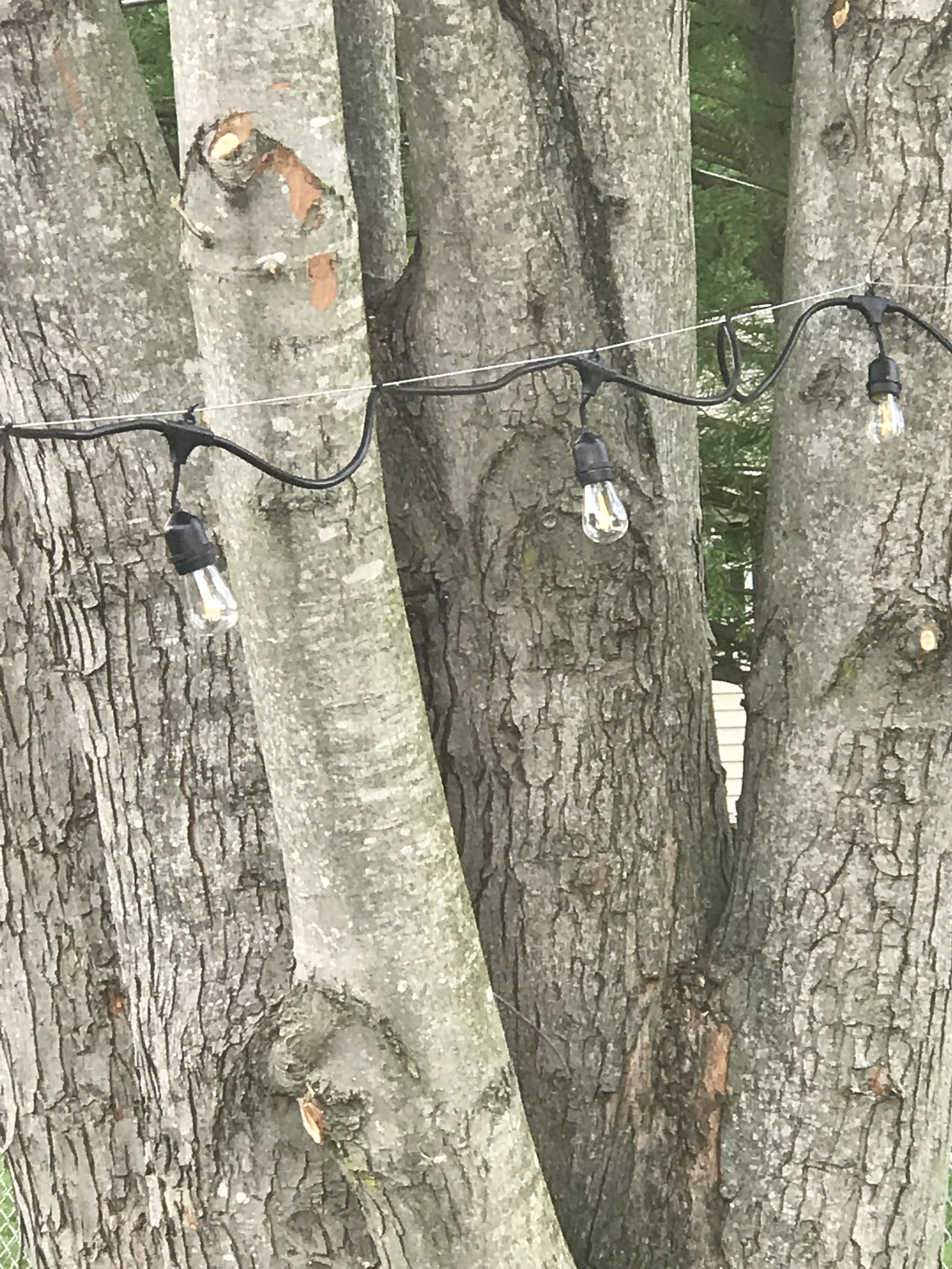 How to hang outdoor string lights. No polls needed. Backyard DIY ideas. #stringlights #backyard #outdoordecor 