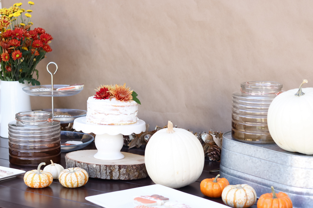 Fall Harvest Party