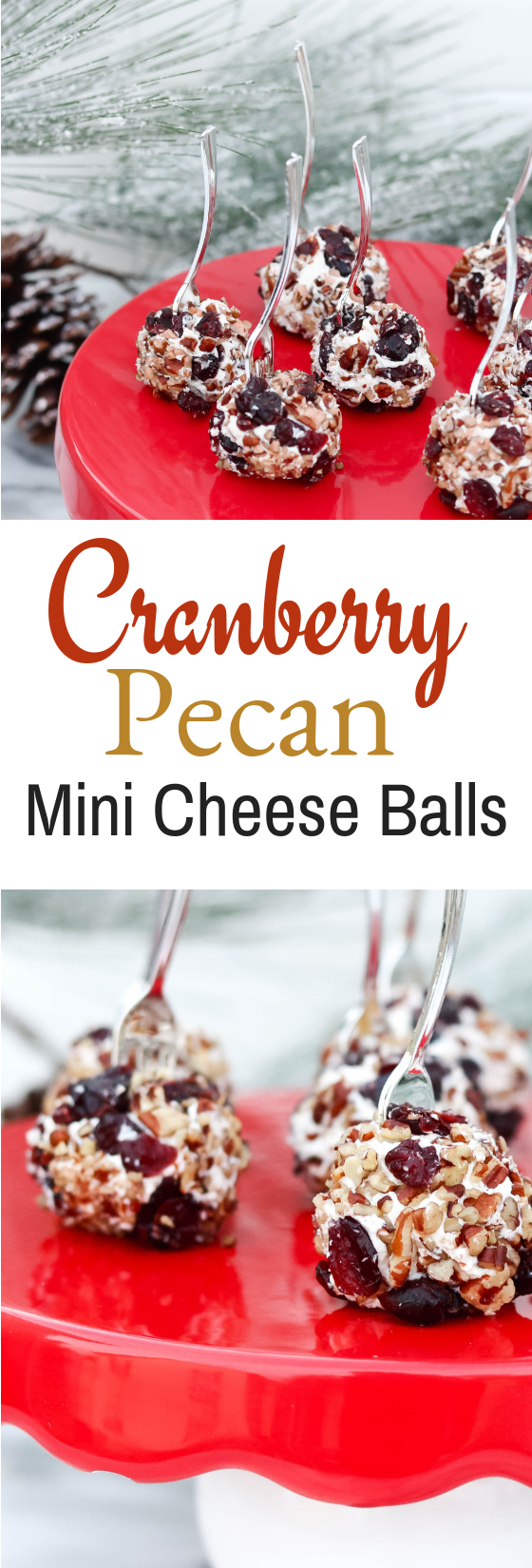 Cranberry Pecan Mini Cheese Balls.

#cheeseball #appetizer #cranberry #holidayrecipe