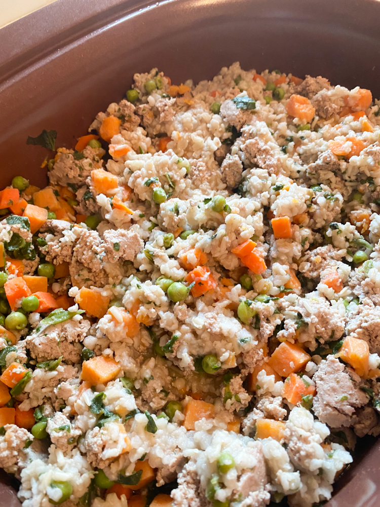 Homemade Easy Dog Food in the Crockpot