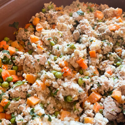 Homemade dog food in crockpot.