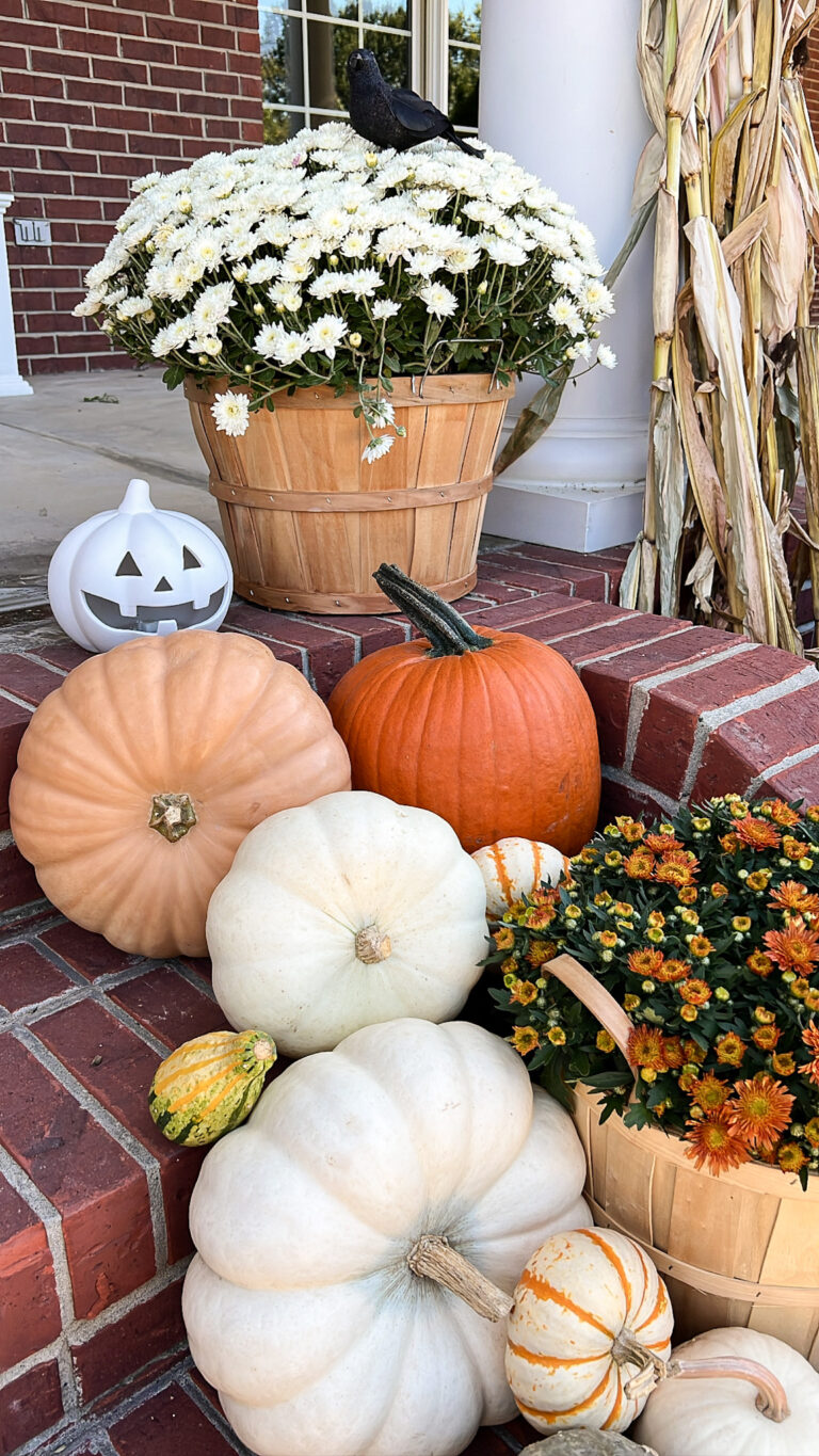 Halloween Front Porch Decorating Ideas - A Cup Full of Sass