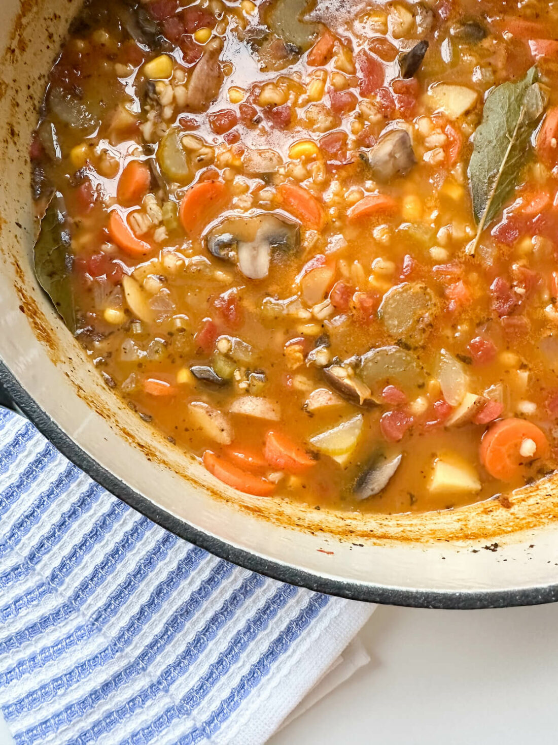 This Easy Vegetable Barley Soup recipe will warm you up and keep full in the cold winter months.